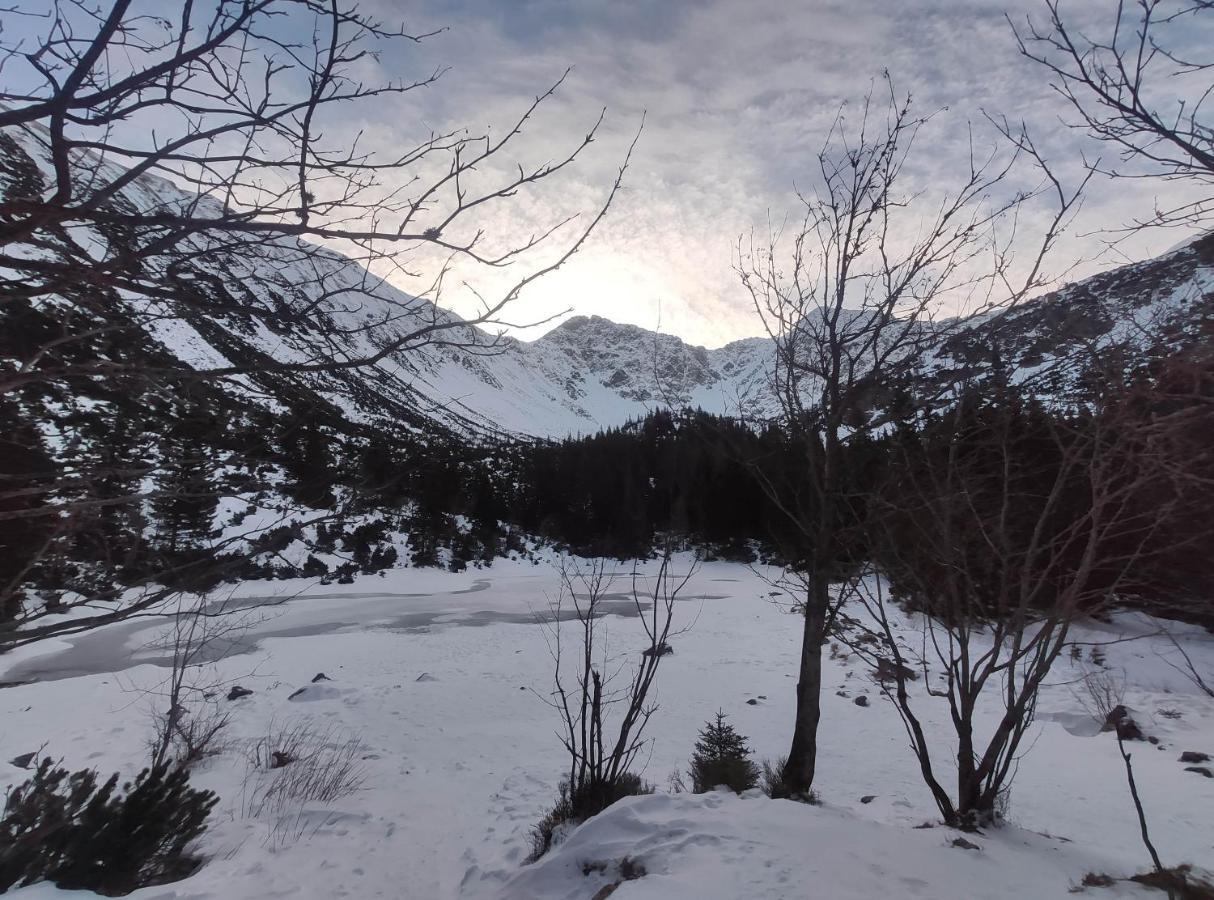 Western Tatras Slovakia Oravsky Biely Potok Eksteriør bilde
