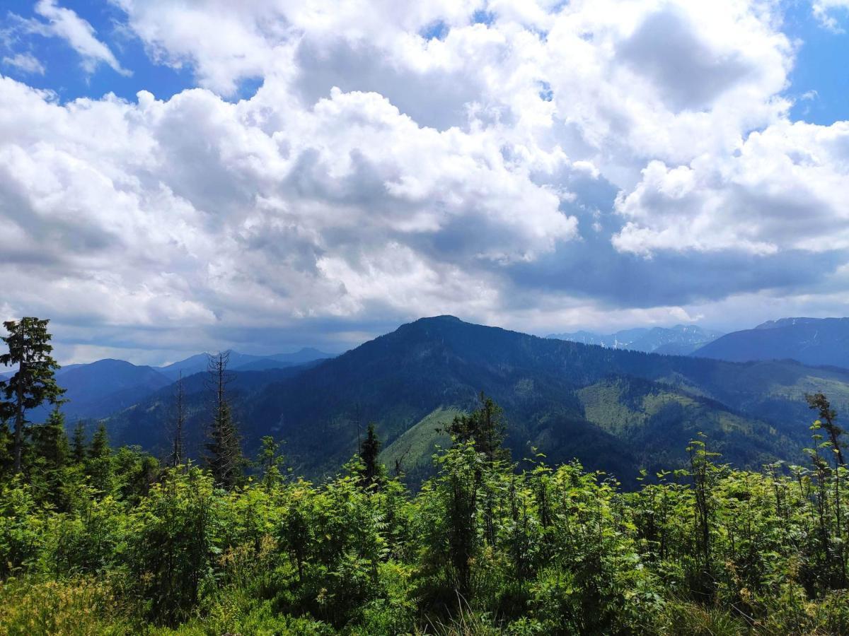 Western Tatras Slovakia Oravsky Biely Potok Eksteriør bilde