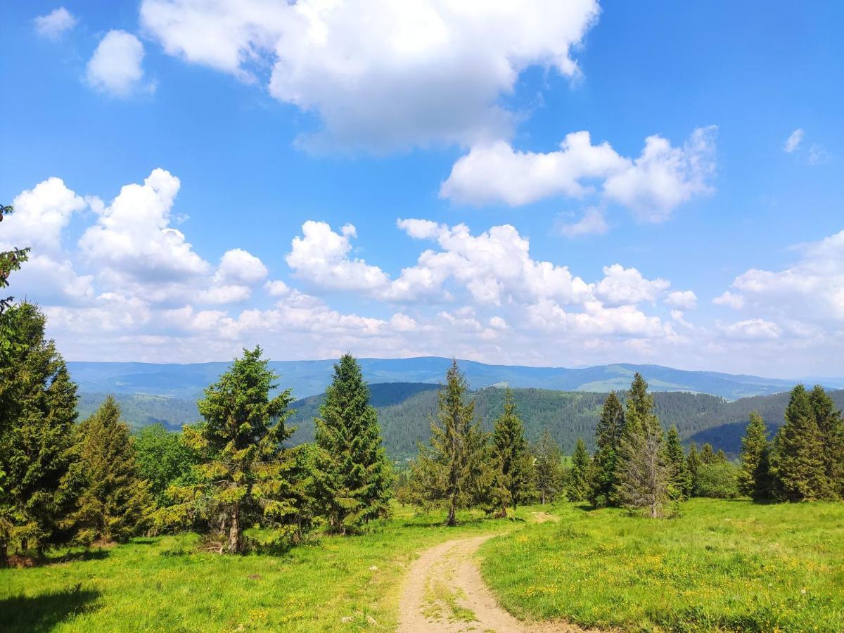 Western Tatras Slovakia Oravsky Biely Potok Eksteriør bilde