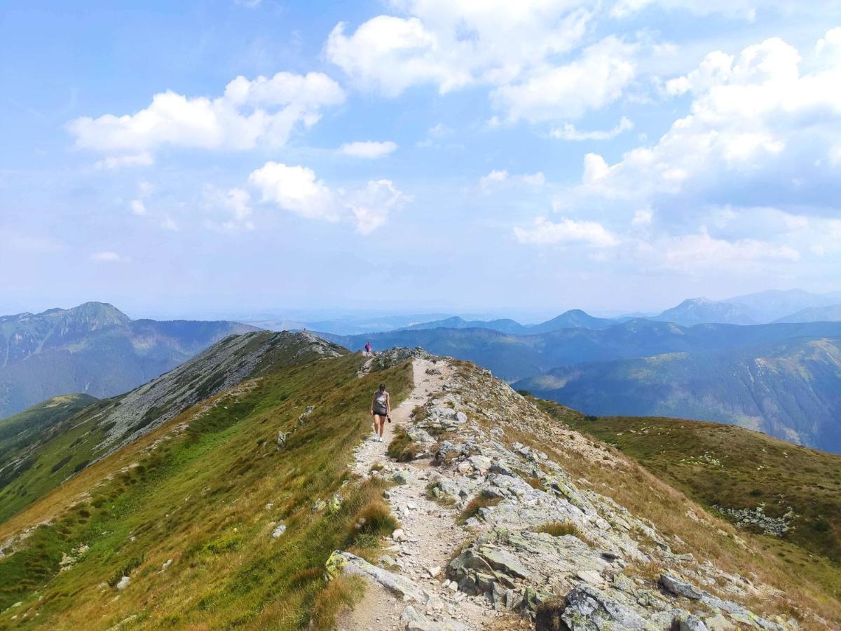 Western Tatras Slovakia Oravsky Biely Potok Eksteriør bilde